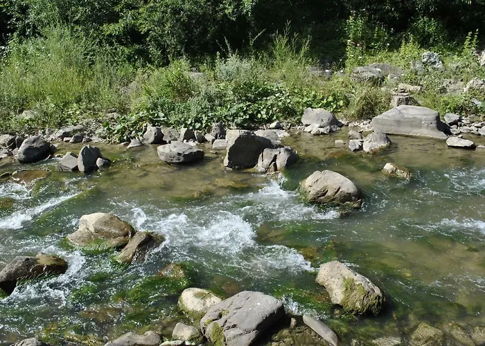 Aparthola * Szczawnica